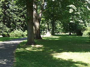 Rožnovský park