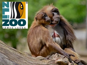 ZOO Zlín - Lešná