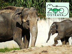ZOO Ostrava